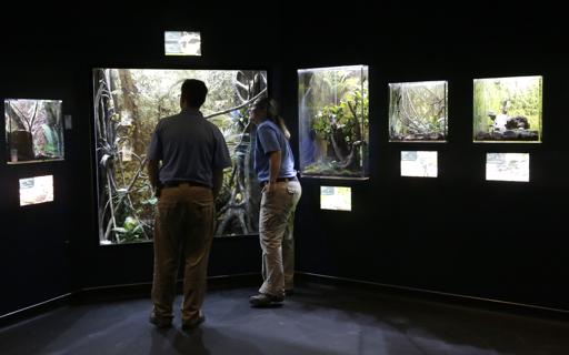 Houston Zoo Opens New “exotic bugs House”