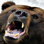 Justin Cardinal : Man survives bear attack in northern Alberta