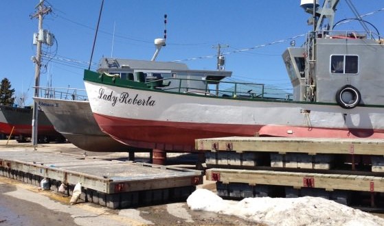 Manitoba : Province plots attack on zebra mussels