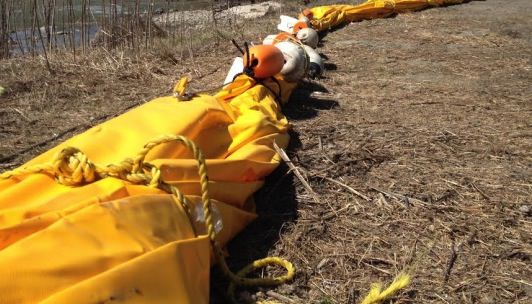 Manitoba : Zebra Mussel Fight Begins At Winnipeg Beach Harbour