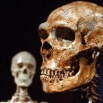 Neanderthals 'as clever as modern humans', Say Scientists