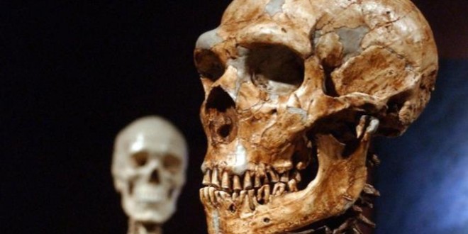 Neanderthals 'as clever as modern humans', Say Scientists