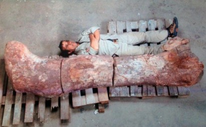 Largest-ever dinosaur fossil bone found