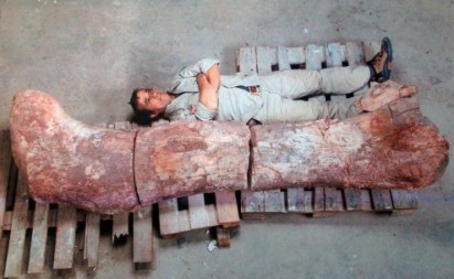New dinosaur discovery