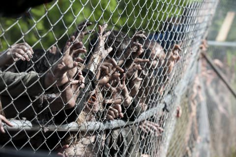 Pentagon ‘zombie apocalypse’ plan gets media roars, Report