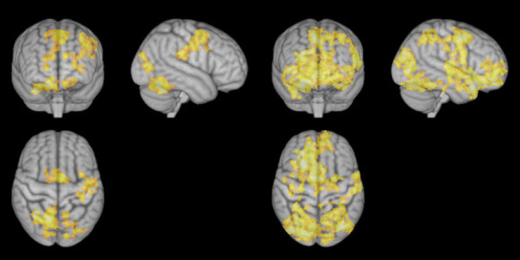 Scientists discover how the brain works during meditation