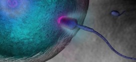 Sperm Problems Tied to Shorter Life, Study