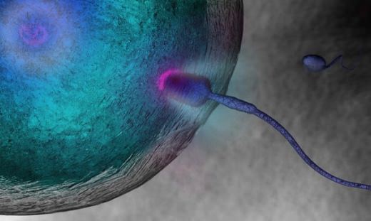 Sperm Problems Tied to Shorter Life, Study