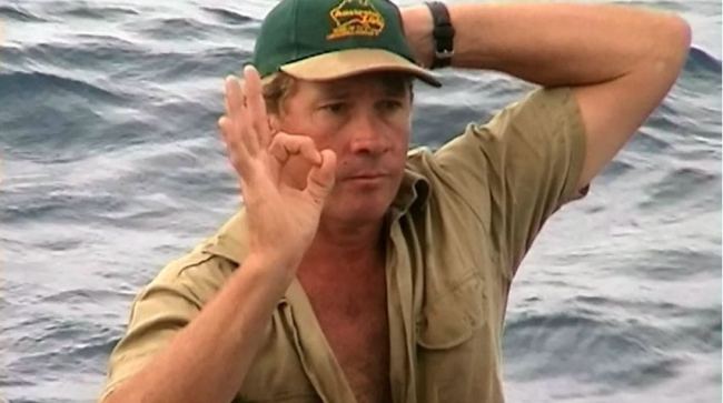 chase steve irwin pop