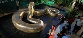 Titanoboa : This monster snake had crocs for dinner !