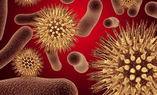 WHO : Antibiotics Resistance Making Treatment Ineffective