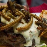Adventures in dining: Temporary restaurant serves up bugs for a good cause