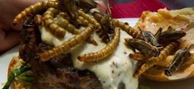 Adventures in dining: Temporary restaurant serves up bugs for a good cause