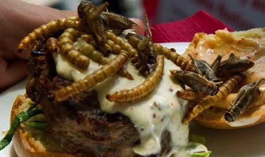 Adventures in dining: Temporary restaurant serves up bugs for a good cause