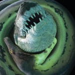 Ancient Croc Named for Lord of the Rings Beast : UF study