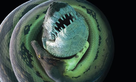 Ancient Croc Named for Lord of the Rings Beast : UF study