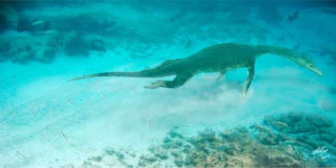 Ancient long-necked 'sea monsters' rowed their way to prey, Report