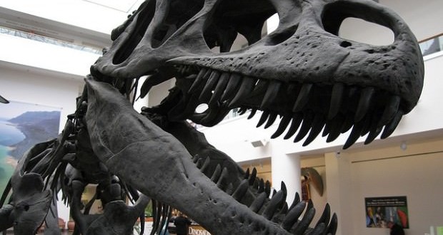 Dinosaurs Combined Warm and Cold Blood, New Study