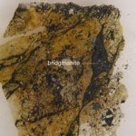 Earth's Most Common but Elusive Mineral is Named : Bridgmanite