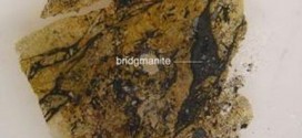 Earth's Most Common but Elusive Mineral is Named : Bridgmanite