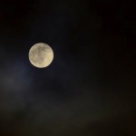 Full and Honey-Colored Moon in June
