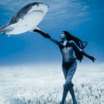 Hannah Fraser : Human 'mermaid' dances with sharks