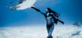 Hannah Fraser : Human 'mermaid' dances with sharks