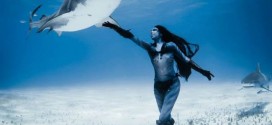 Hannah Fraser : Human 'mermaid' dances with sharks