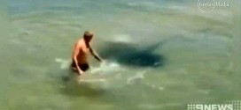 Man picks a fight with huge stingray