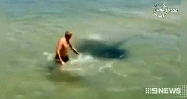 Man picks a fight with huge stingray
