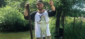 Massive invasive bullfrog captured in Alberni pond