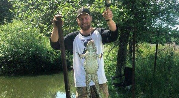 Massive invasive bullfrog captured in Alberni pond (Photo)