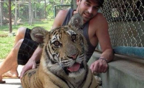 New York Legislature bans selfies with tigers