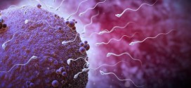 Older sperm donors 'just as good', Study