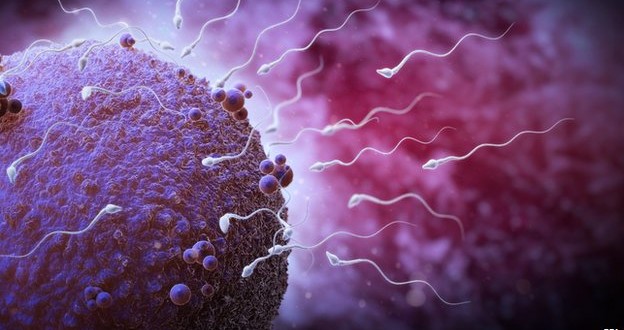 Older sperm donors 'just as good', Study