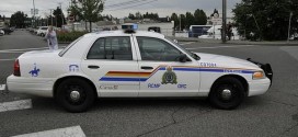 Police raids target 32 members of two mafia cells : RCMP