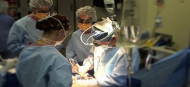 Scientists extend liver preservation for transplantation