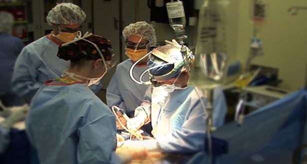 Scientists extend liver preservation for transplantation