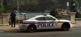 St. John's : Driver Arrested for False Plates