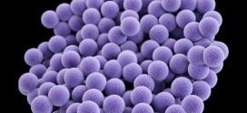 US : FDA approves drug to treat MRSA