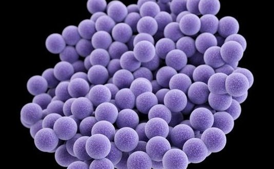 US : FDA approves drug to treat MRSA