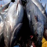 US : Kiribati commits to fishery-free reserve