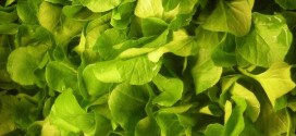 Watercress named top 'powerhouse' veggie, New Study