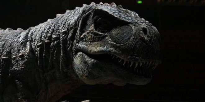 Dinosaurs Were Neither Warm Nor Cold Blooded, Study
