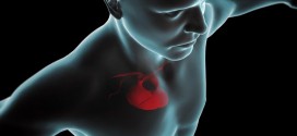 Adults Can Undo Heart Disease Risk, Study
