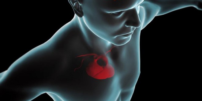 Adults Can Undo Heart Disease Risk, Study