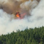 BC residents on alert as forest fires continue to burn, Report