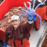Blue King Crab : Rare blue-coloured crab discovered in Alaska