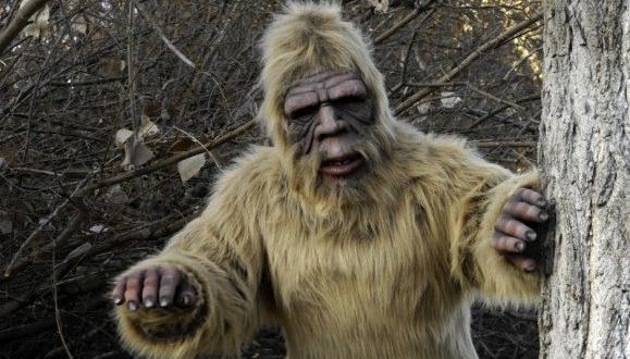 DNA Tests Find No Bigfoot, Possible Yeti : New Study