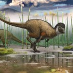 Dinosaurs all had feathers, New Study
